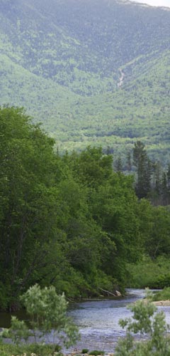 Wilderness adventures teach backcountry survival skills